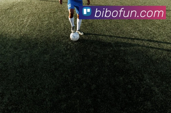 必博bibo平台生态图